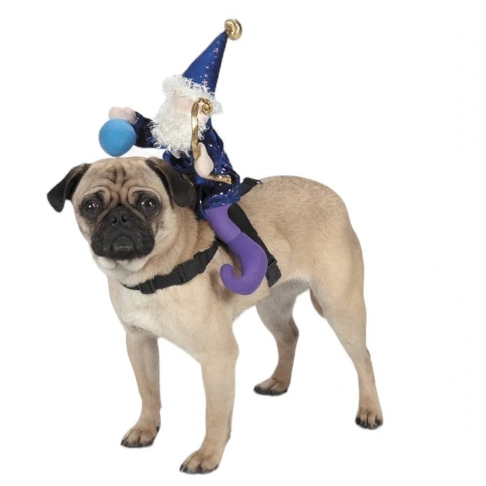 NWT Zack & Zoey Wizard Saddle Costume
